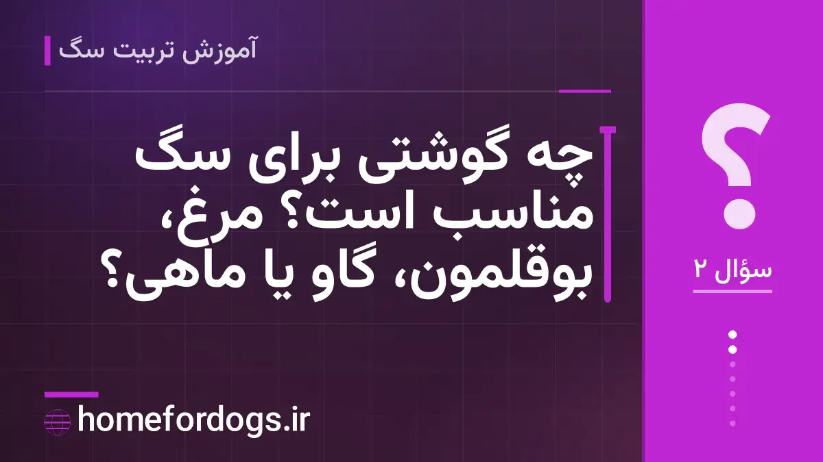 چه گوشتی برای سگ مناسب است؟ مرغ، بوقلمون، گاو یا ماهی؟
