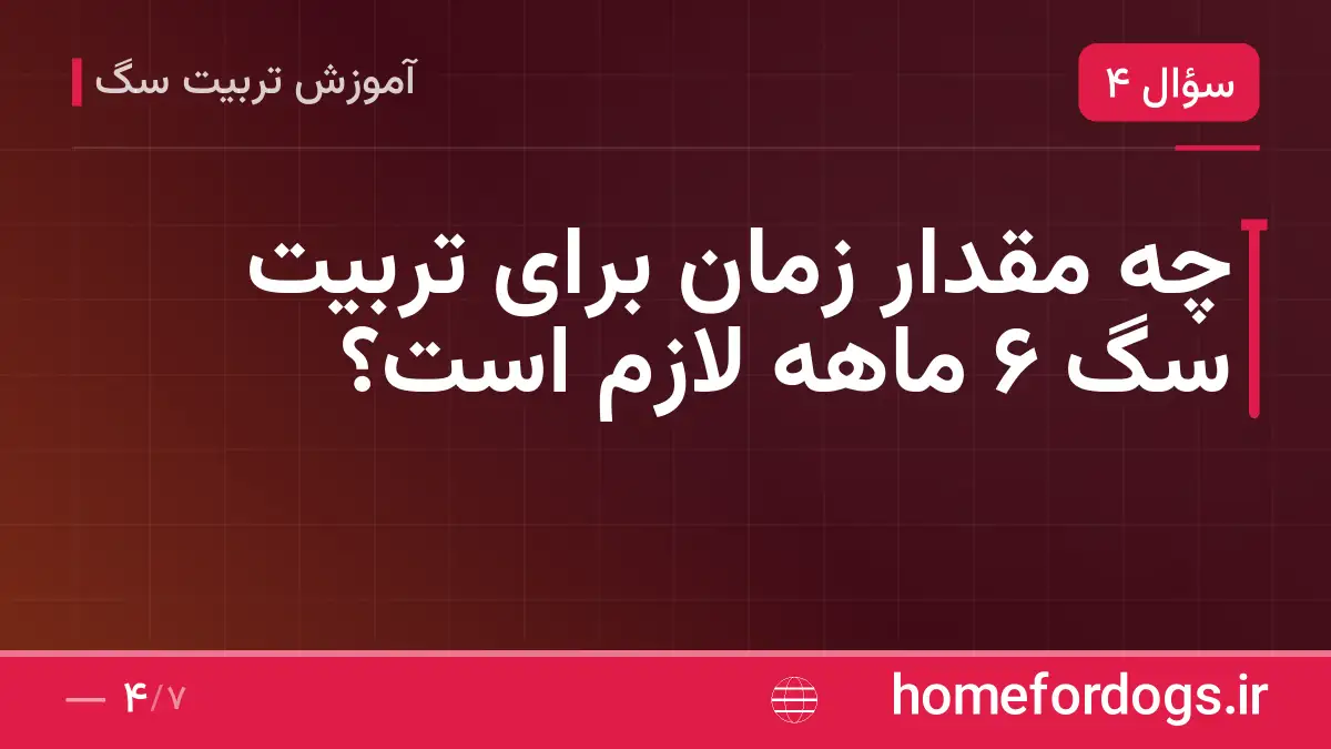 چه مقدار زمان برای تربیت سگ ۶ ماهه لازم است؟
