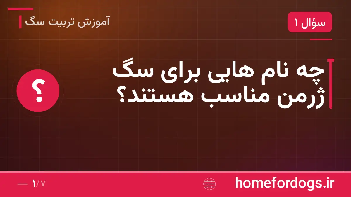 چه نام هایی برای سگ ژرمن مناسب هستند؟