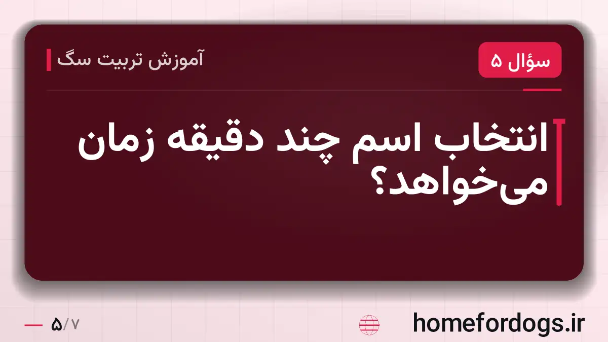 انتخاب اسم چند دقیقه زمان میخواهد؟