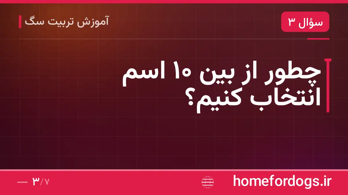 چطور از بین ۱۰ اسم انتخاب کنیم؟
