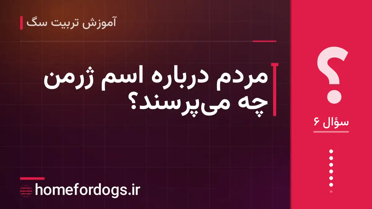 مردم درباره اسم ژرمن چه میپرسند؟