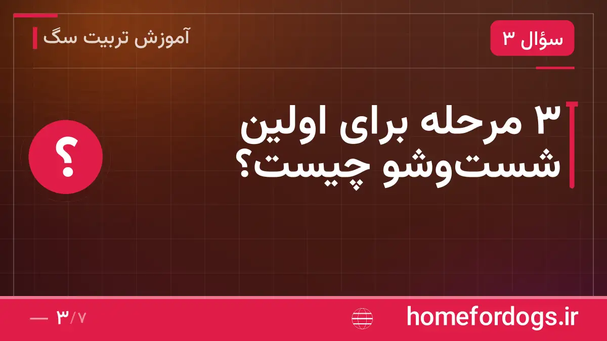 ۳ مرحله برای اولین شست‌وشو چیست؟