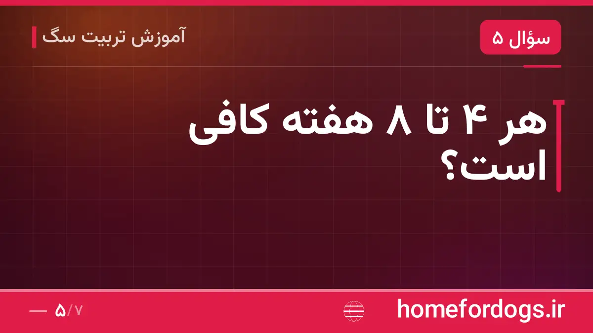 هر ۴ تا ۸ هفته کافی است؟