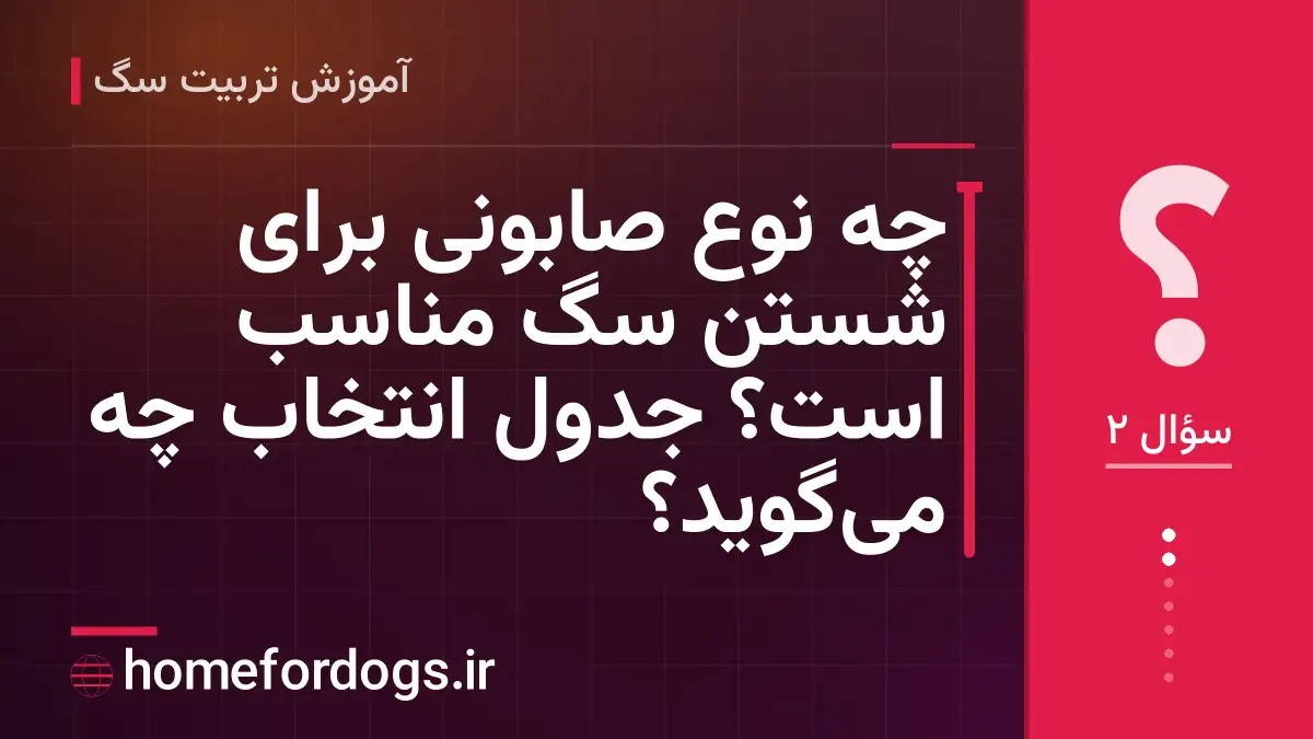 چه نوع صابونی برای شستن سگ مناسب است؟ جدول انتخاب چه می‌گوید؟