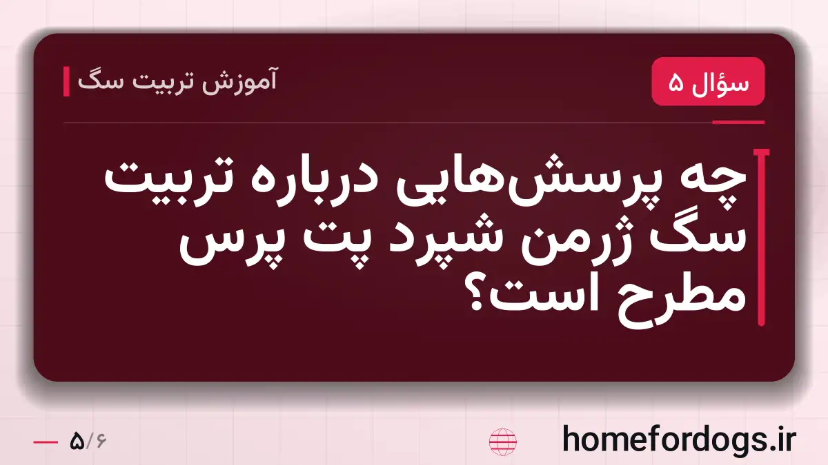 چه پرسشهایی درباره تربیت سگ ژرمن شپرد پت پرس مطرح است؟