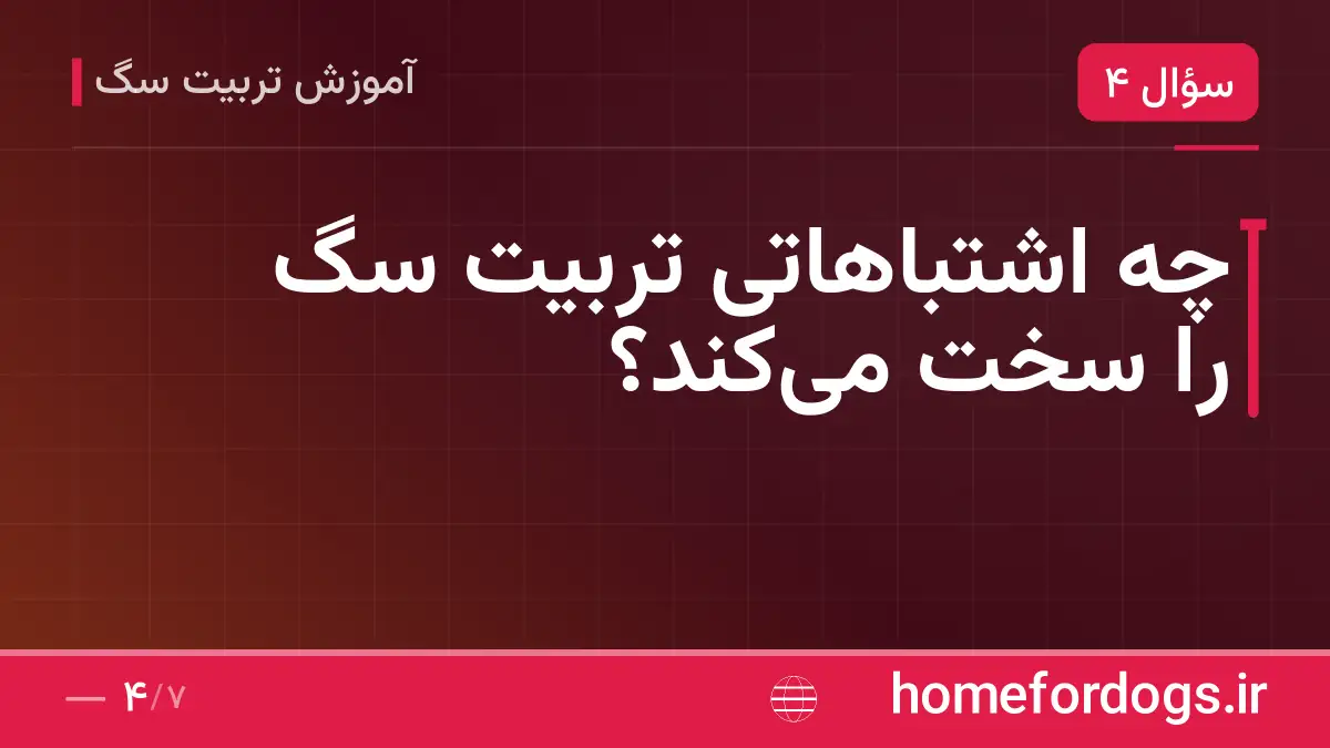 چه اشتباهاتی تربیت سگ را سخت میکند؟