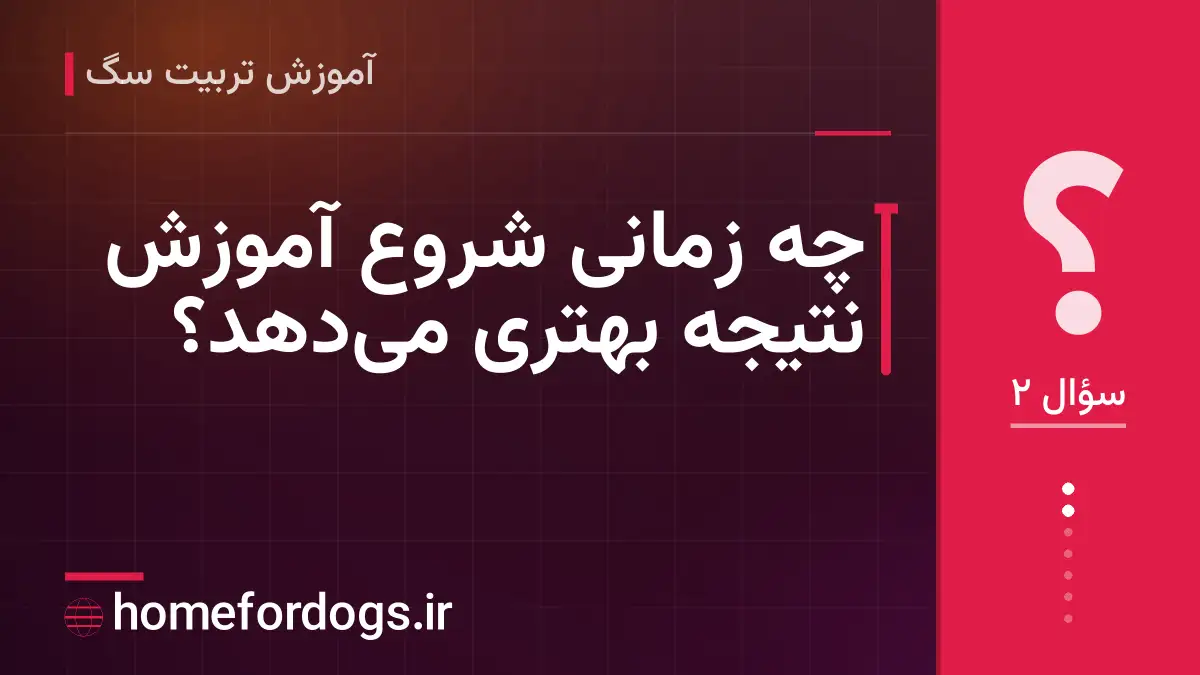 چه زمانی شروع آموزش نتیجه بهتری میدهد؟