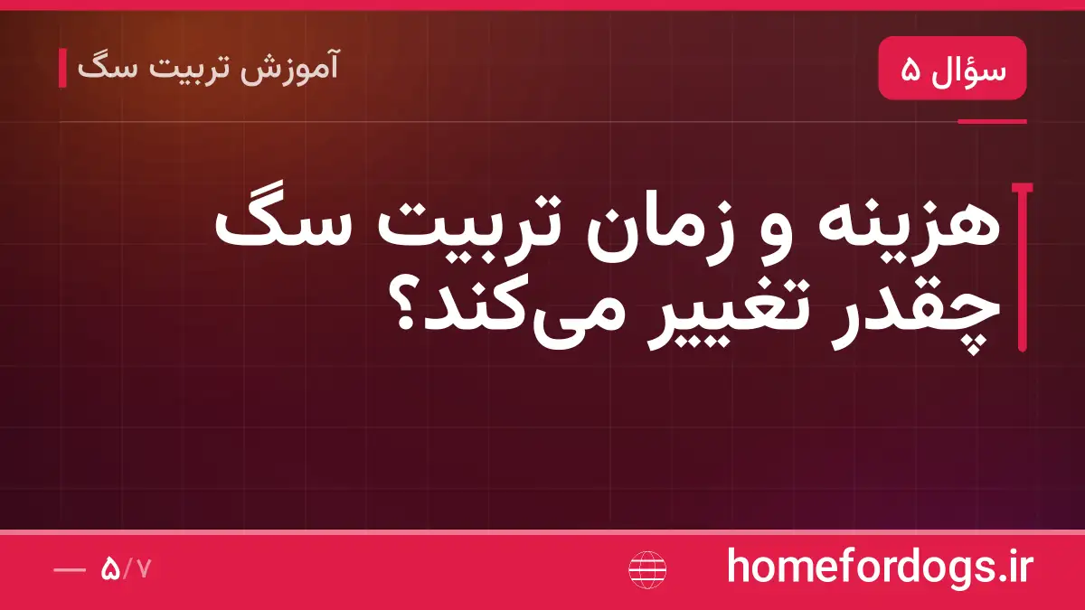 هزینه و زمان تربیت سگ چقدر تغییر میکند؟