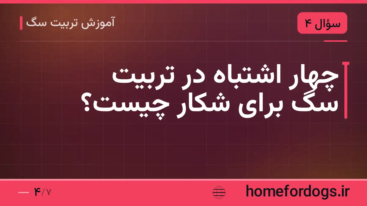 چهار اشتباه در تربیت سگ برای شکار چیست؟