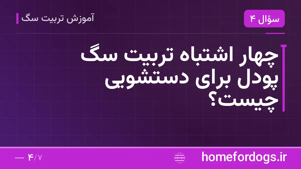 چهار اشتباه تربیت سگ پودل برای دستشویی چیست؟