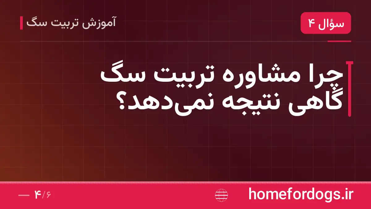 چرا مشاوره تربیت سگ گاهی نتیجه نمی‌دهد؟