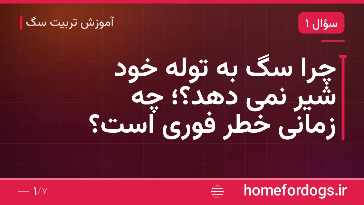 چرا سگ به توله خود شیر نمی دهد؟؛ چه زمانی خطر فوری است؟