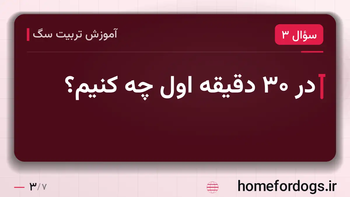 در ۳۰ دقیقهٔ اول چه کنیم؟