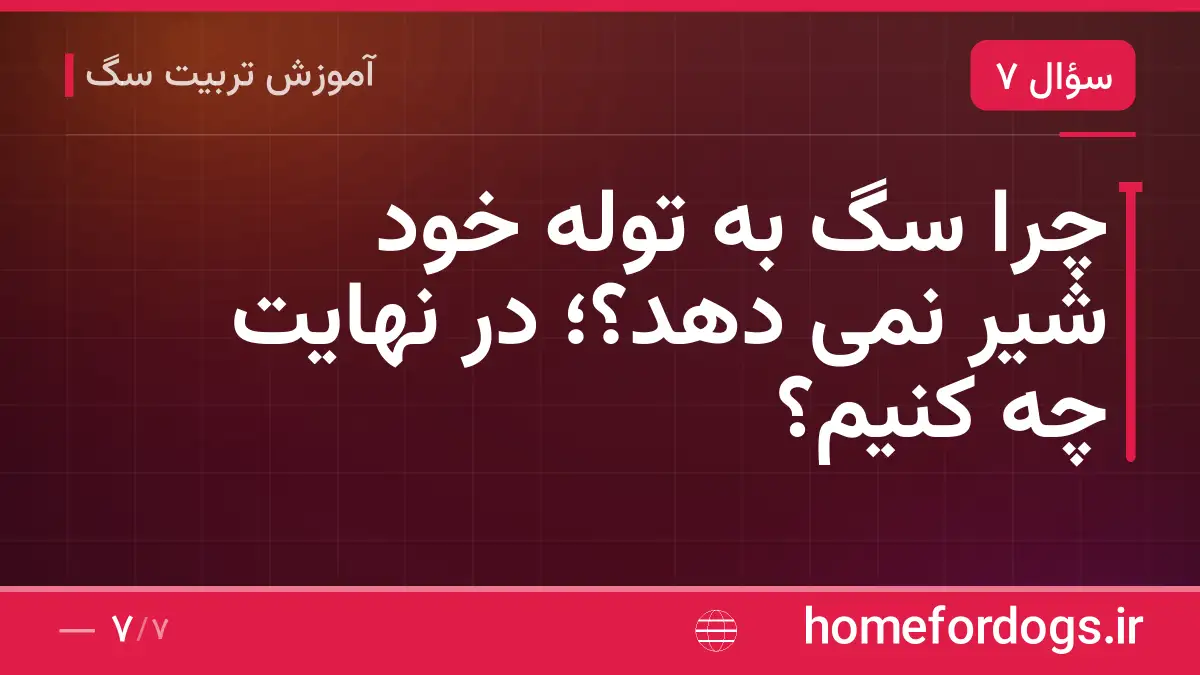 چرا سگ به توله خود شیر نمی دهد؟؛ در نهایت چه کنیم؟