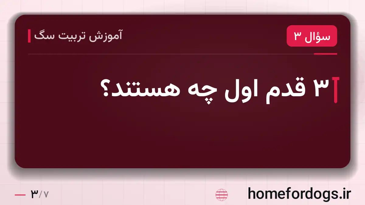 ۳ قدم اول چه هستند؟