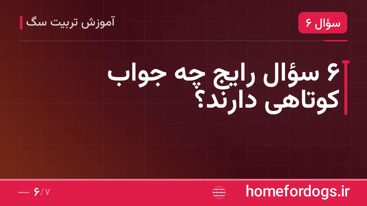 ۶ سؤال رایج چه جواب کوتاهی دارند؟