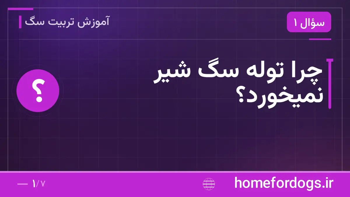 چرا توله سگ شیر نمیخورد؟