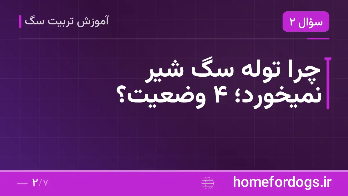 چرا توله سگ شیر نمیخورد؛ ۴ وضعیت؟