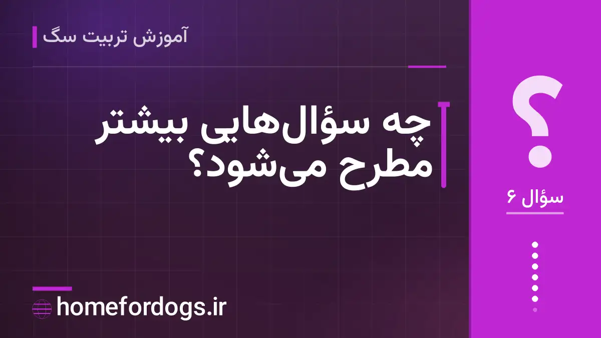 چه سؤالهایی بیشتر مطرح میشود؟