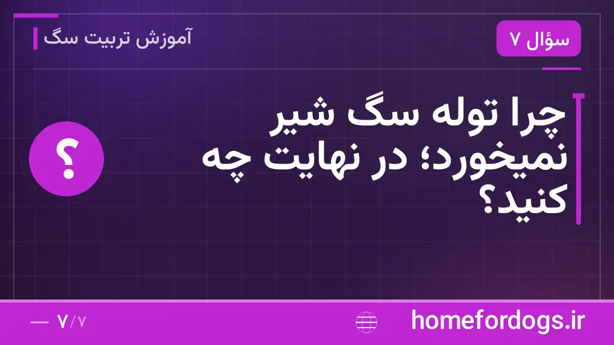 چرا توله سگ شیر نمیخورد؛ در نهایت چه کنید؟