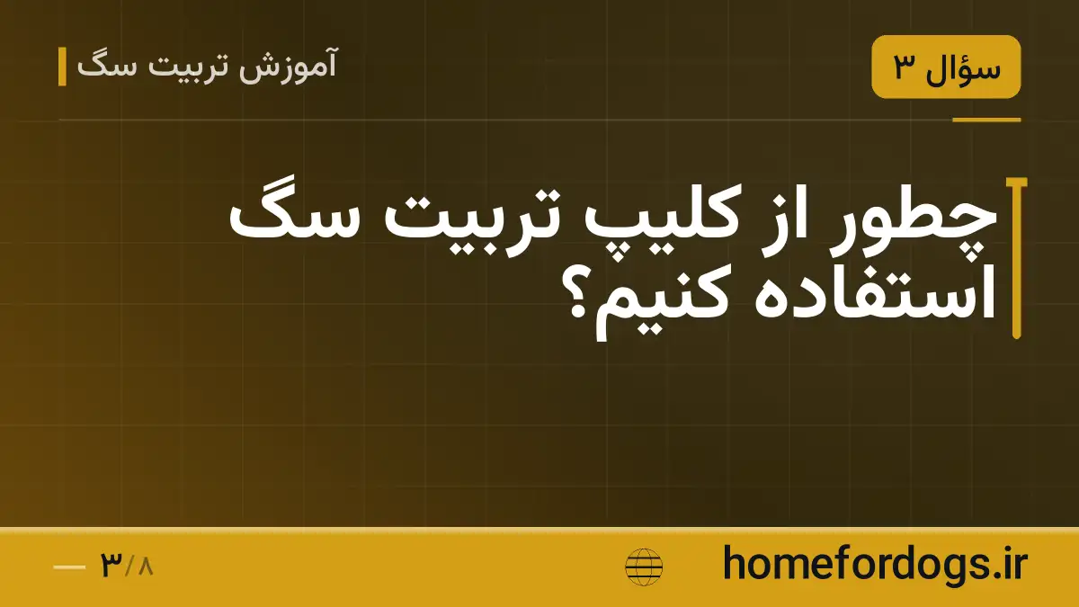 چطور از کلیپ تربیت سگ استفاده کنیم؟