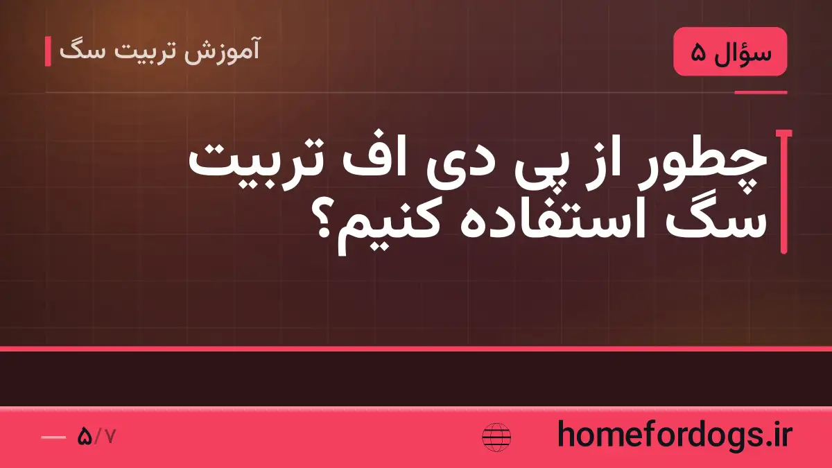 چطور از پی دی اف تربیت سگ استفاده کنیم؟