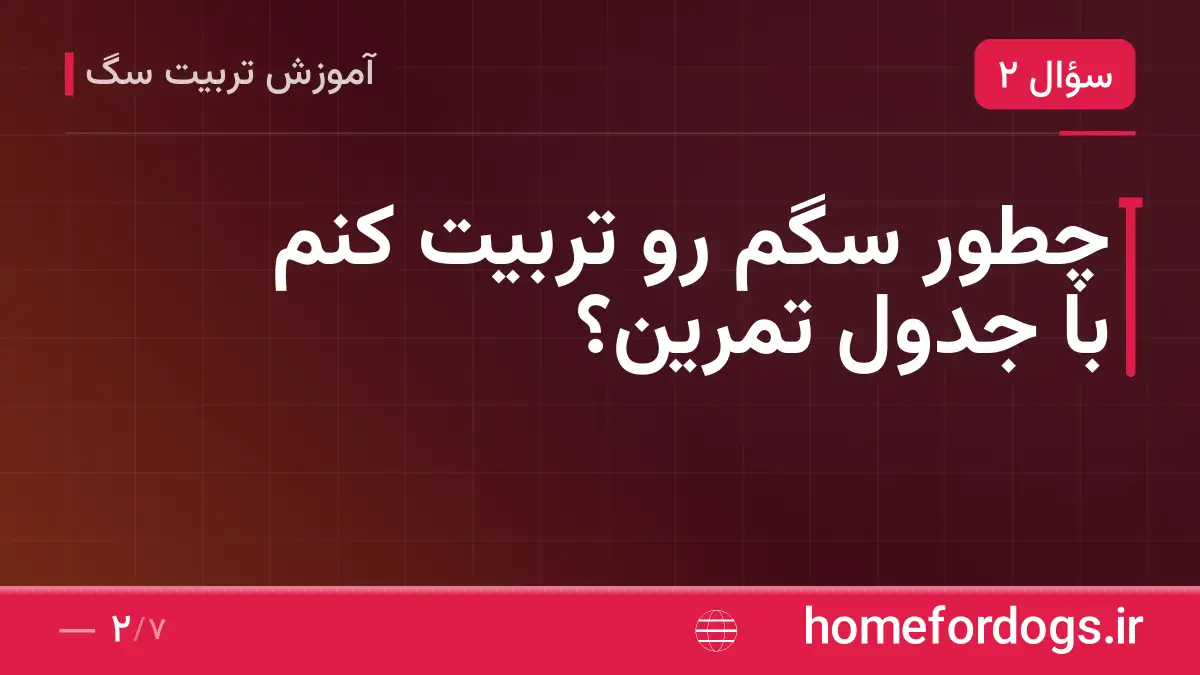 چطور سگم رو تربیت کنم با جدول تمرین؟