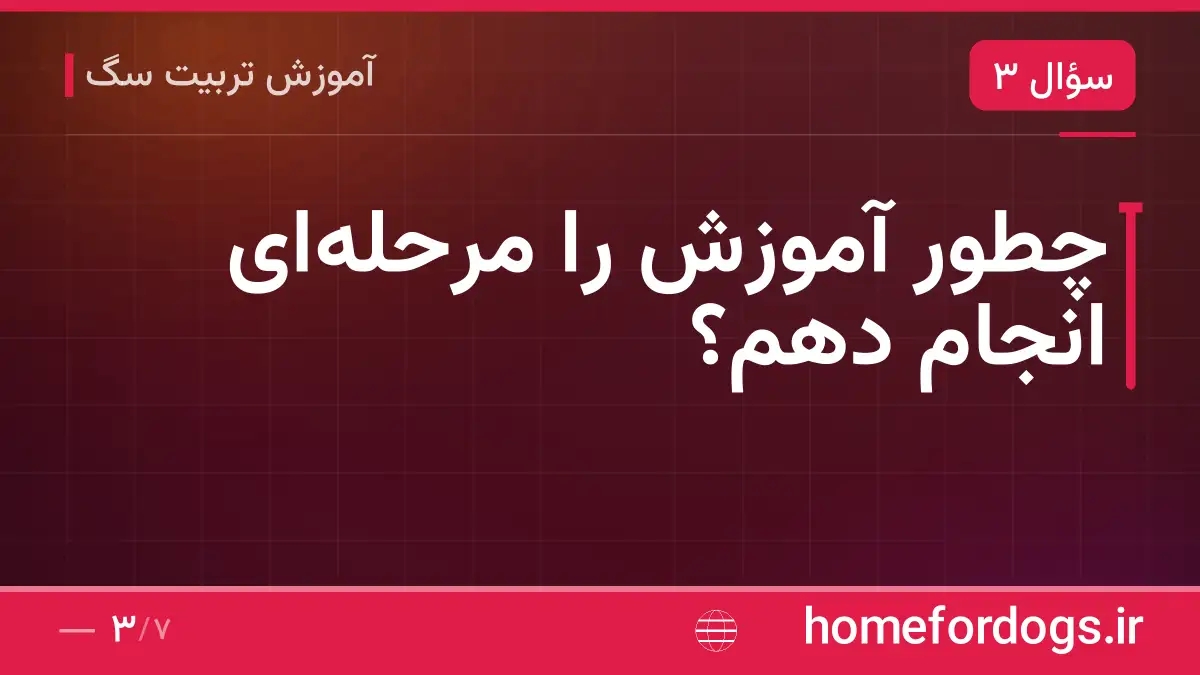 چطور آموزش را مرحله‌ای انجام دهم؟