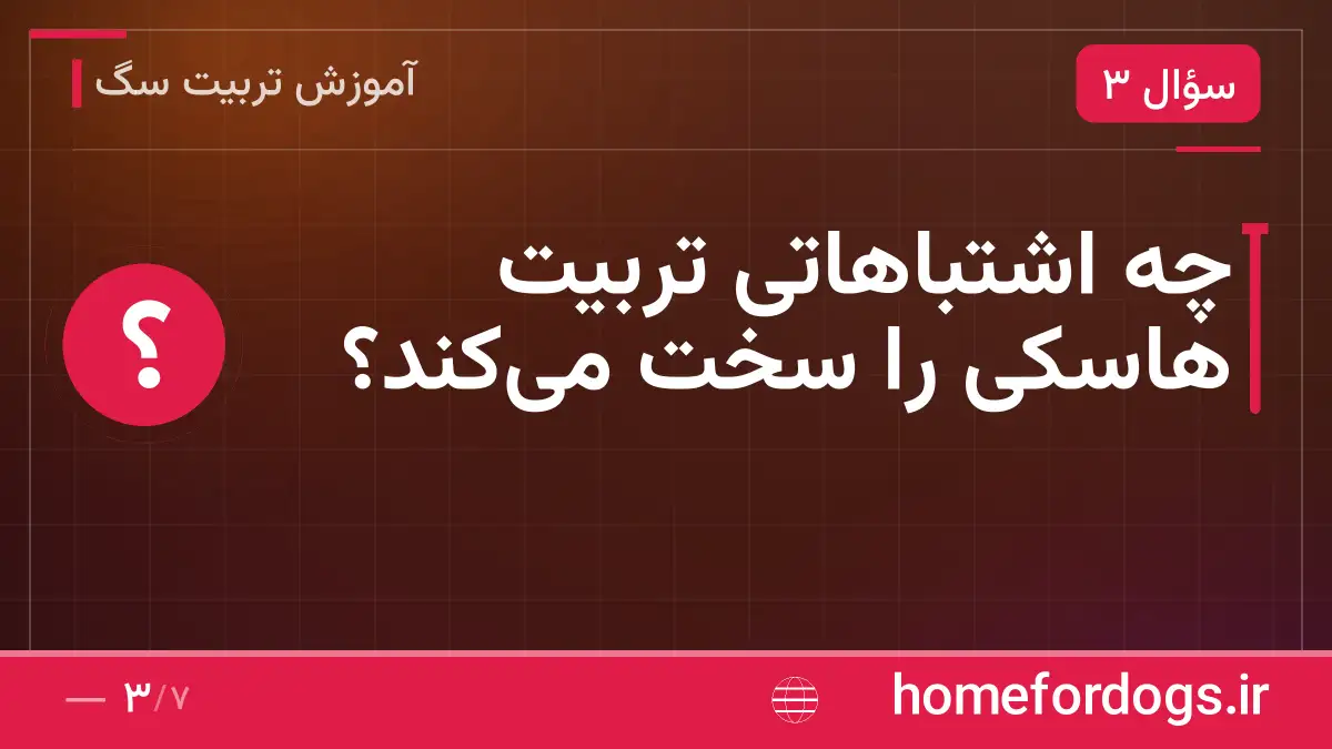 چه اشتباهاتی تربیت هاسکی را سخت میکند؟