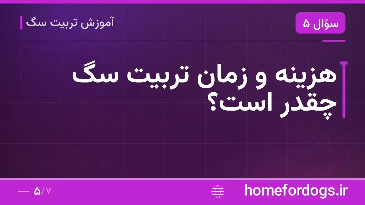 هزینه و زمان تربیت سگ چقدر است؟