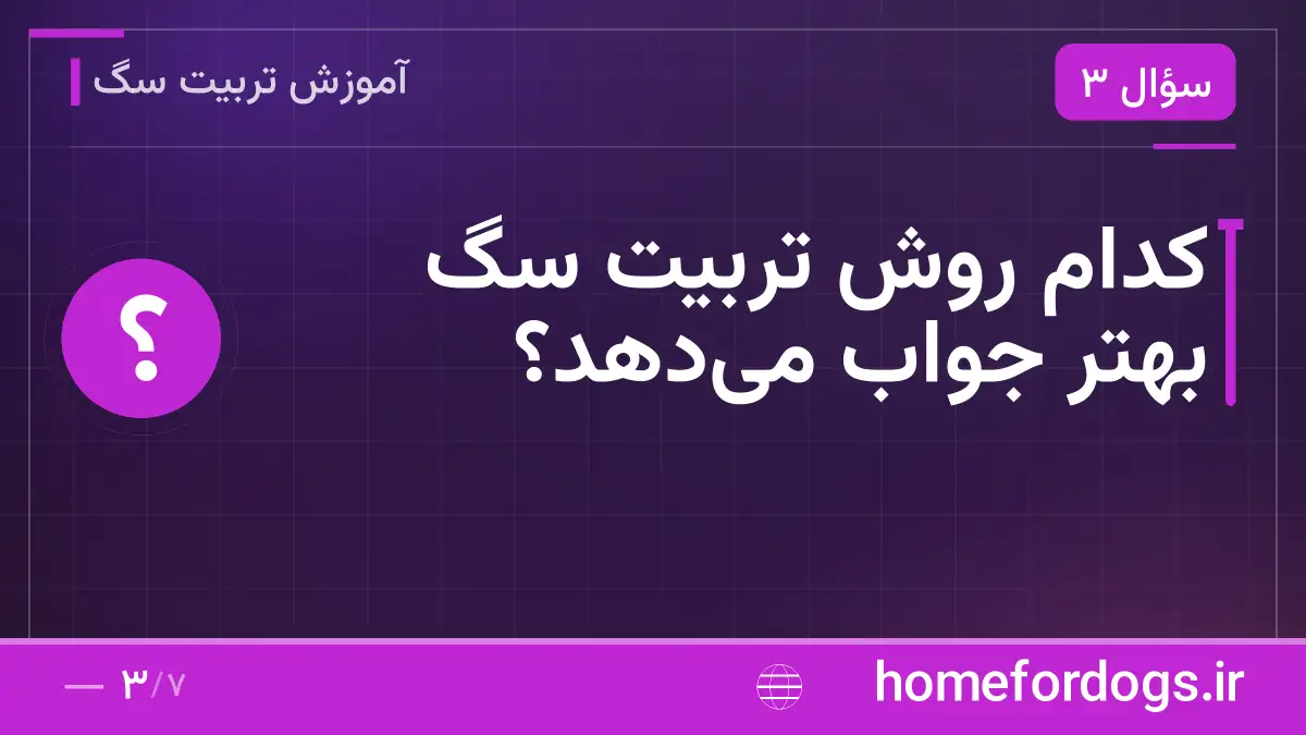 کدام روش تربیت سگ بهتر جواب می‌دهد؟