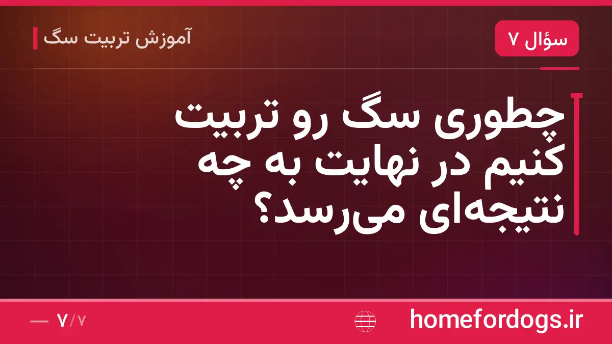 چطوری سگ رو تربیت کنیم در نهایت به چه نتیجه‌ای می‌رسد؟