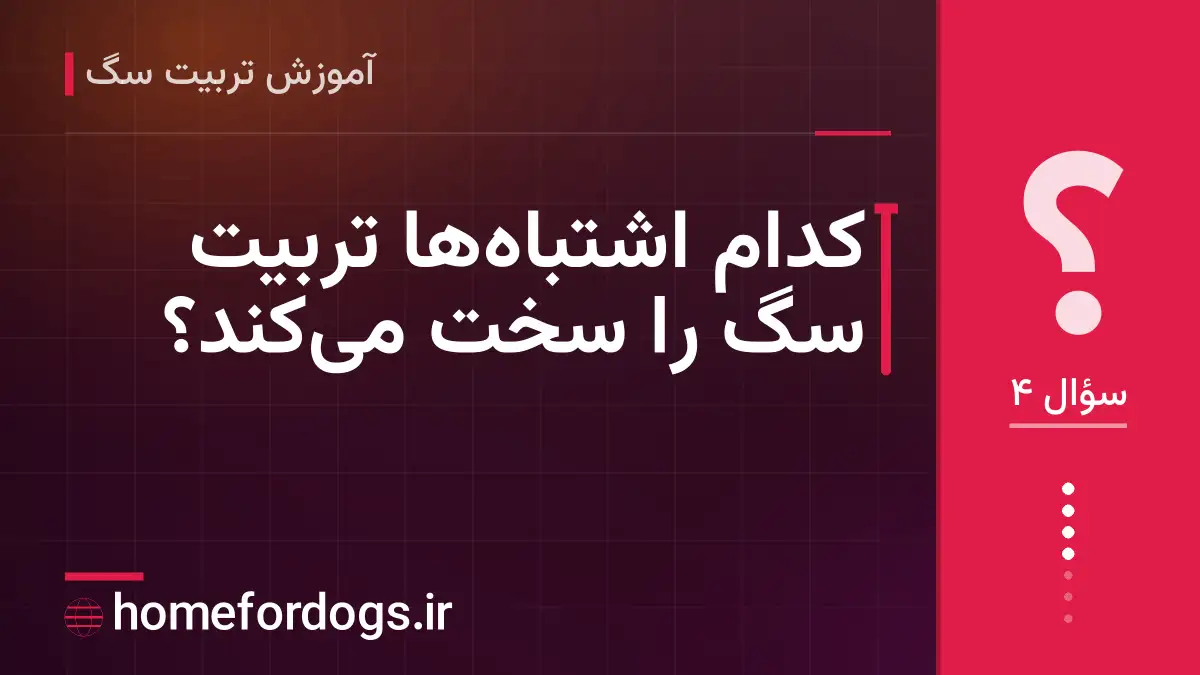 کدام اشتباه‌ها تربیت سگ را سخت می‌کند؟