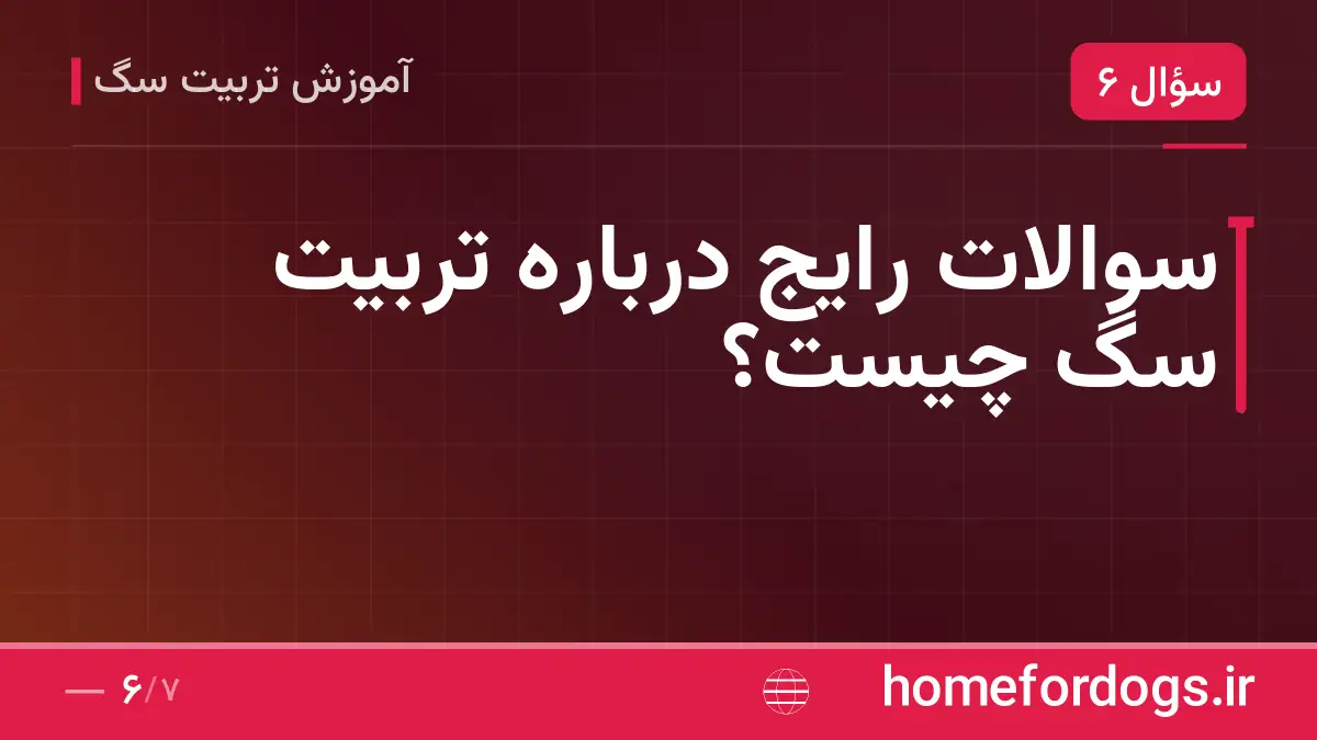 سوالات رایج درباره تربیت سگ چیست؟