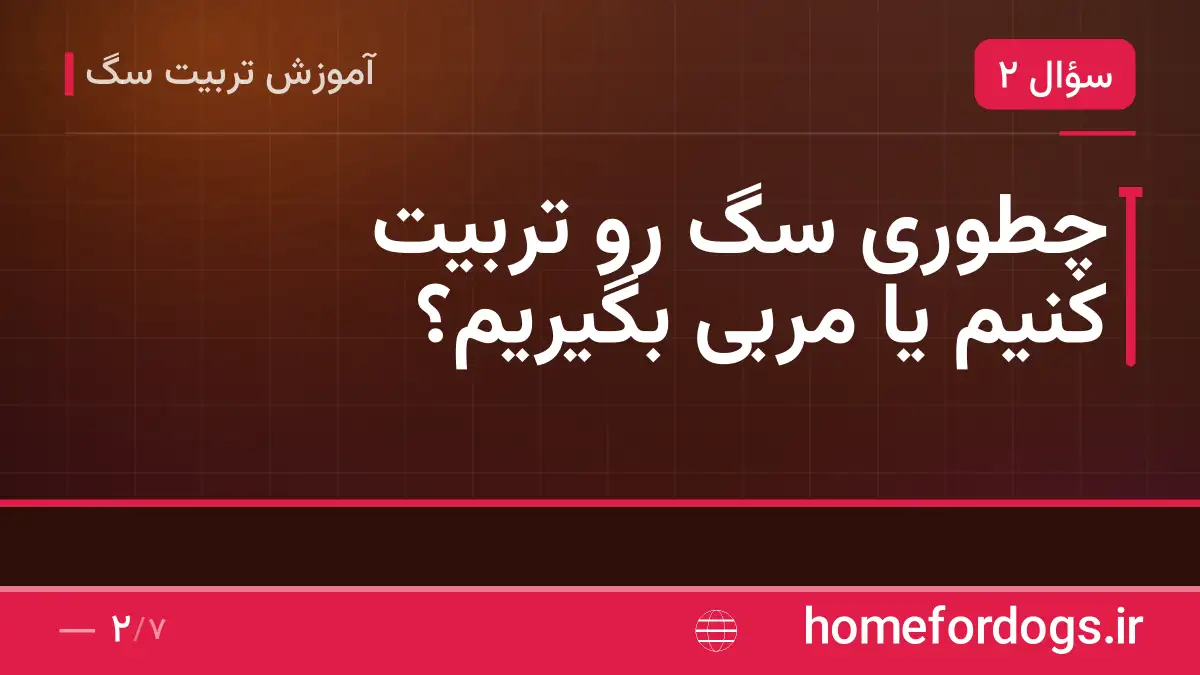 چطوری سگ رو تربیت کنیم یا مربی بگیریم؟