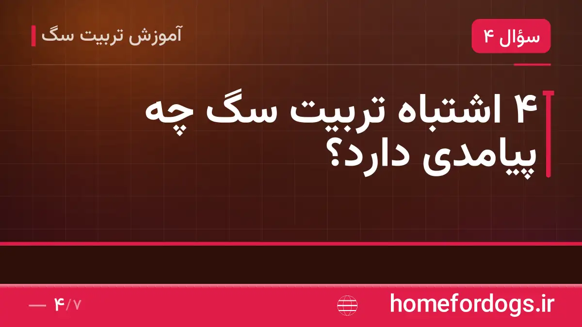 ۴ اشتباه تربیت سگ چه پیامدی دارد؟