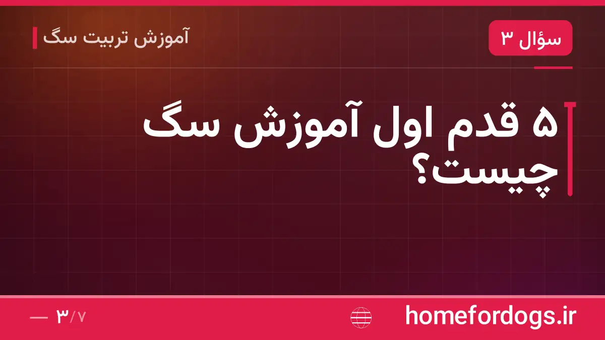 ۵ قدم اول آموزش سگ چیست؟