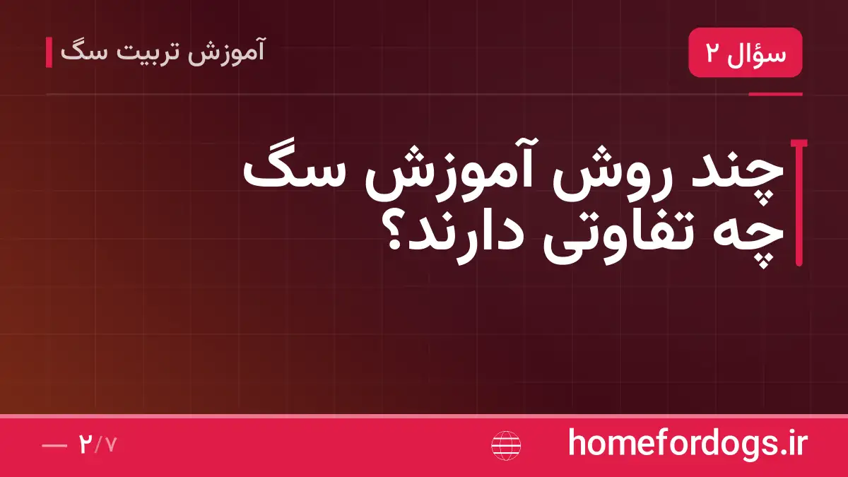 چند روش آموزش سگ چه تفاوتی دارند؟