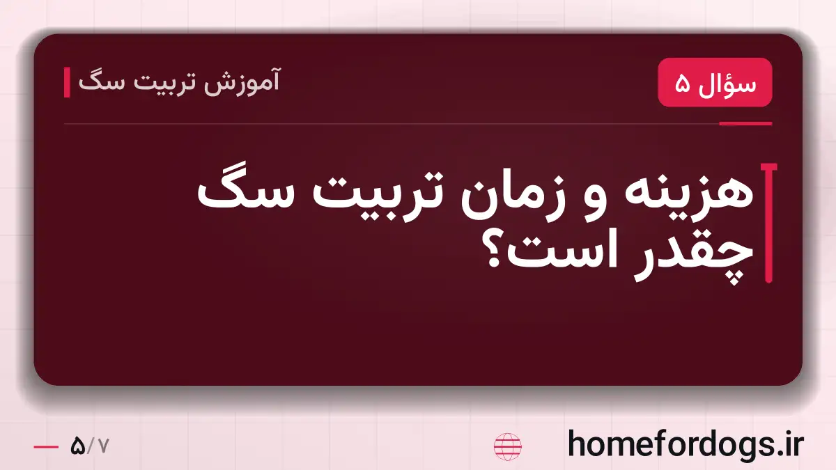 هزینه و زمان تربیت سگ چقدر است؟