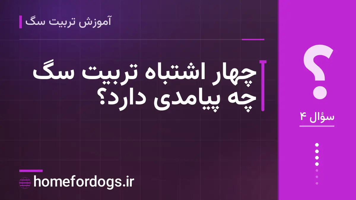 چهار اشتباه تربیت سگ چه پیامدی دارد؟