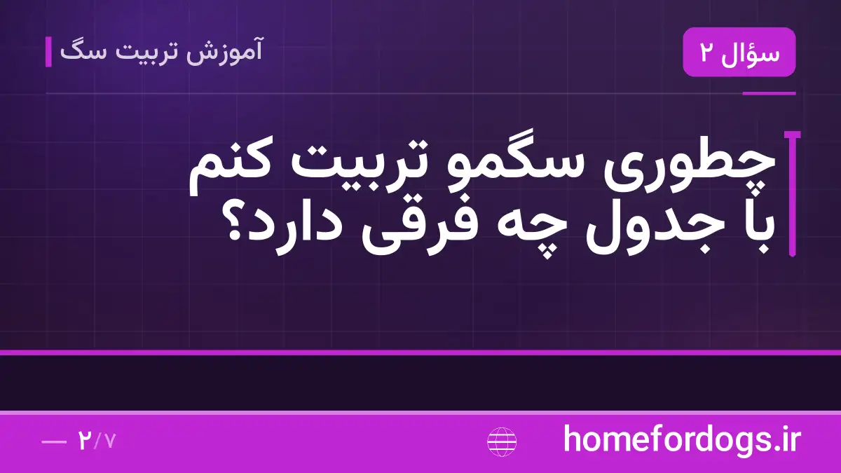 چطوری سگمو تربیت کنم با جدول چه فرقی دارد؟