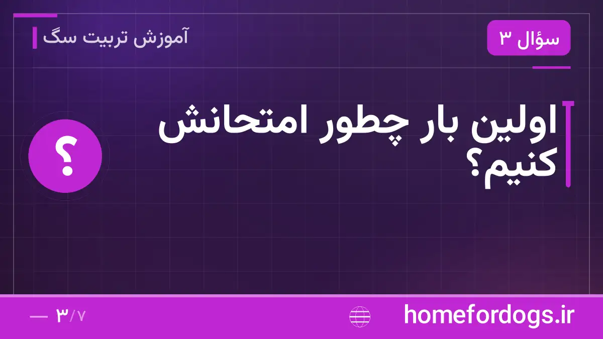 اولین بار چطور امتحانش کنیم؟