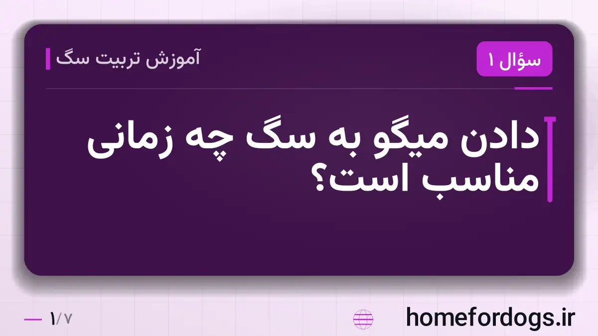 دادن میگو به سگ چه زمانی مناسب است؟