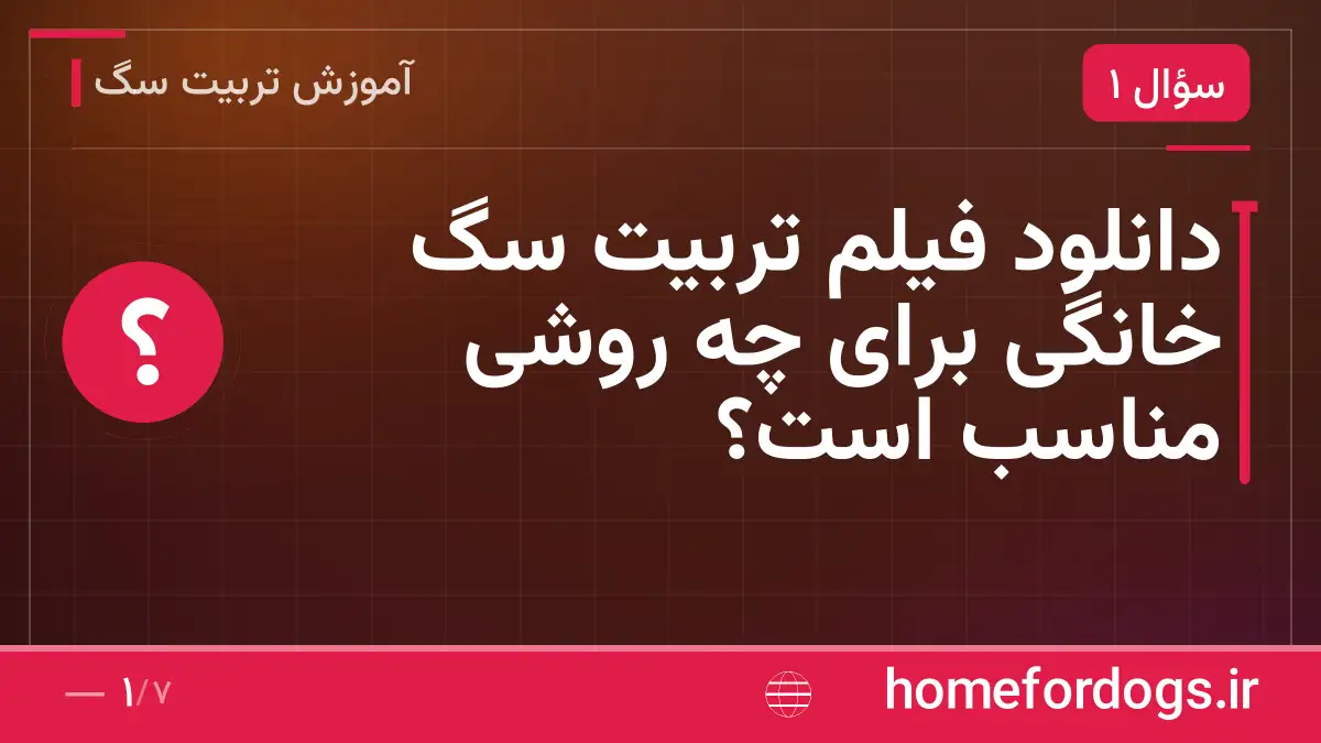 دانلود فیلم تربیت سگ خانگی برای چه روشی مناسب است؟