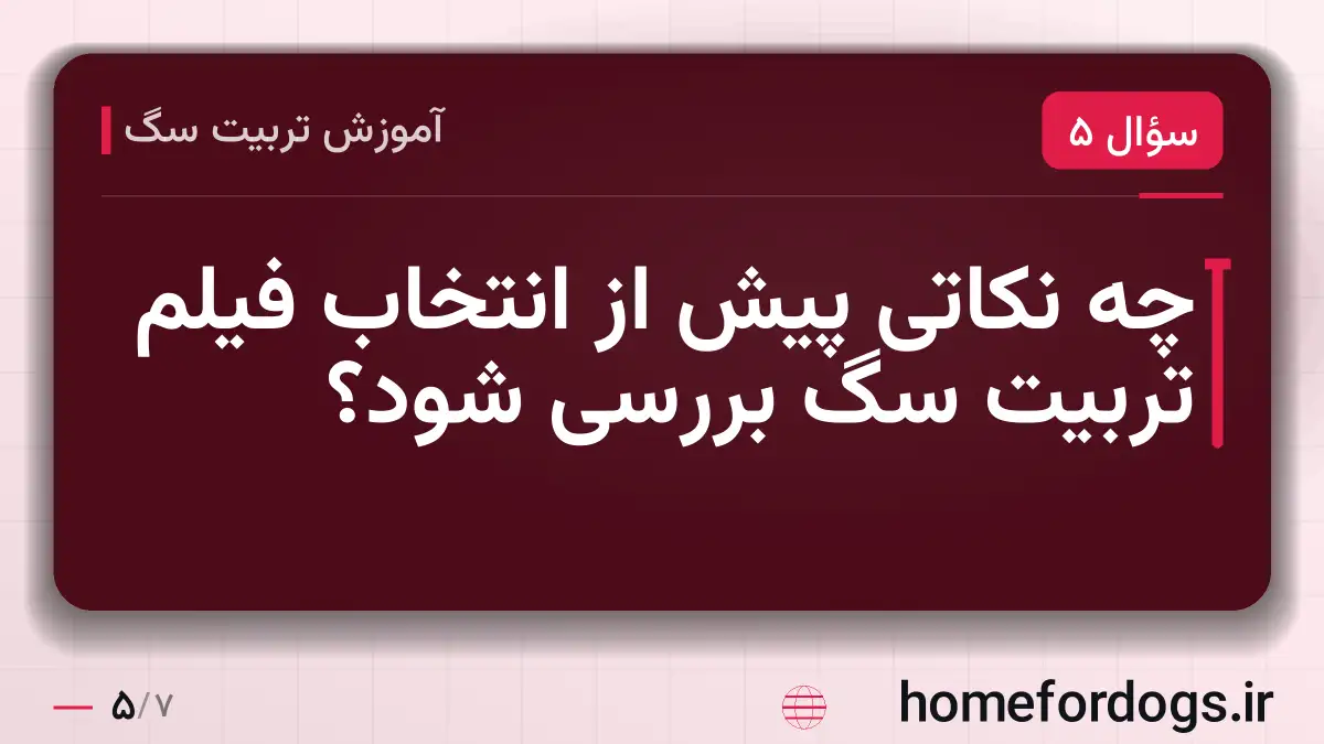 چه نکاتی پیش از انتخاب فیلم تربیت سگ بررسی شود؟