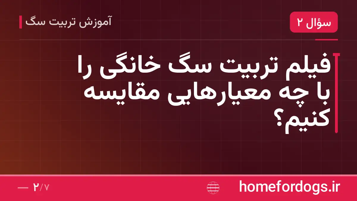 فیلم تربیت سگ خانگی را با چه معیارهایی مقایسه کنیم؟