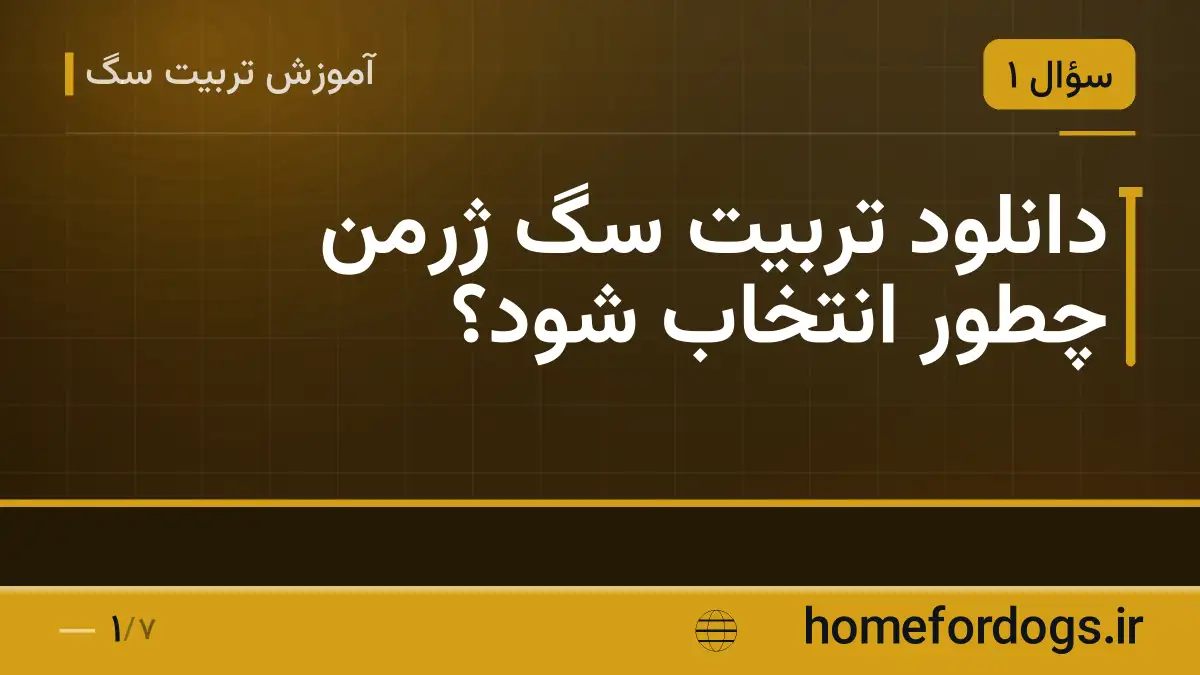 دانلود تربیت سگ ژرمن چطور انتخاب شود؟