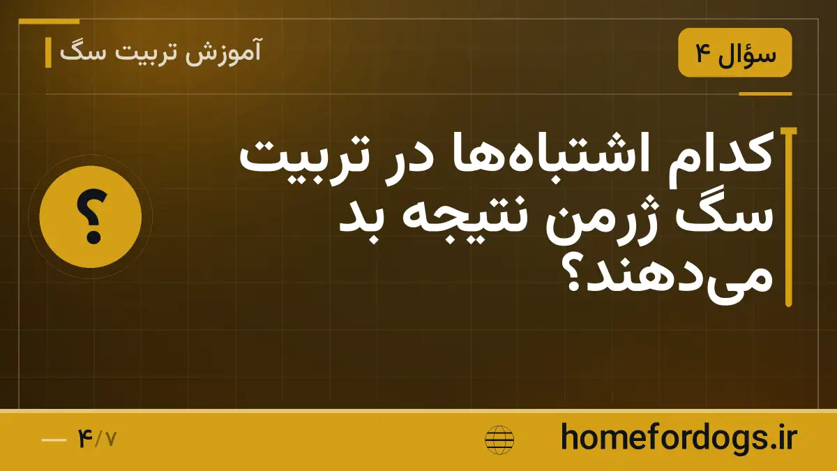 کدام اشتباه‌ها در تربیت سگ ژرمن نتیجه بد می‌دهند؟