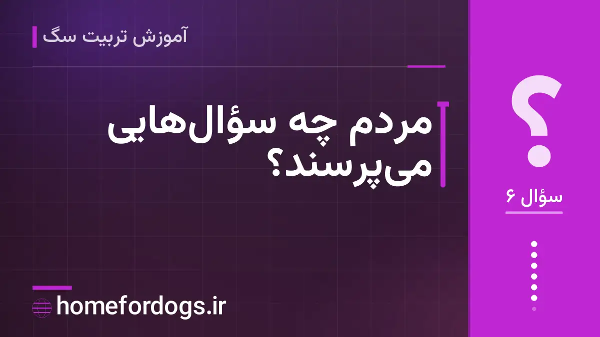 مردم چه سؤالهایی میپرسند؟